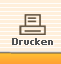 Seite ausdrucken